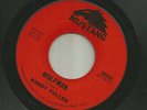 SURF ROCKABILLY INSTRO bw GARAGE - RANDY FULLER - WOLFMAN - HEAR-1964 MUSTANG