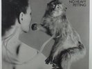 UFO No Heavy Petting CHRYSALIS CHR 1103 LP SEALED  