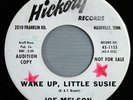 HEAR IT 60's Rockabilly Promo 45 rpm Joe Melson 