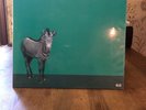 Hum Vinyl, Youd Prefer An Astronaut, Limited Edition