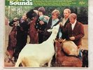 The Beach Boys - Pet Sounds (1966) Pop Rock LP  *Mono* {T-2458} G Vinyl Record