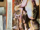 Led Zeppelin ?– Houses Of The Holy