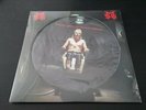 THE MICHAEL SCHENKER GROUP - THE MICHAEL SCHENKER GROUP (Picture-Disc) LP