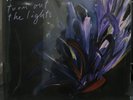 Julien Baker - Turn Out The Lights (NEW 12