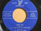 JOLLY ROGER & THE POPPITEERS Hear Say 45 on White Deer TX Garage 2-sider HEAR