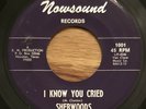 THE SHERWOODS I Know You Cried 45 on Nowsound Texas garage KILLER  HEAR