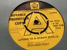 The Rainbow People - Living in a Dream World 7” Promotion Copy Pye Records RARE