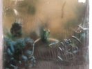 Steely Dan / Katy Lied / 1975 VINYL LP (EX close to NM) COVER NM / German Press