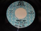THE BIG TOWN BOYS My Babe / August 32nd 1966 GARAGE ROCK PROMO 45 Bell 653