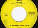 WI Garage FAROS I'm Calling You Back/I'm Crying 45 Target HEAR