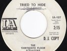 TX Garage Psych THIRTEENTH FLOOR ELEVATORS Tried to Hide 45 Promo HEAR