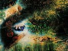 PINK FLOYD - A Saucerful Of Secrets (mono) (Record Store Day 2019) - Vinyl (LP)