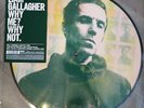 Liam Gallagher ?– Why Me? Why Not. Picture Disc Vinyl LP Limited Edition NEU