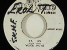 Voice Roys (Viceroys) 