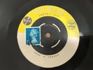 JACKIE OPEL/YOU SEND ME & RAYMOND HARPER / SAFARI SKA DUB 45