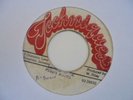 PUDDY ROOTS  Lovers Rock TECHNIQUES  Rub  a Dub Reggae 7