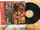Fair Warning Van Halen Hard Rock LP 33t Vinyl + OBI Japan P-10978W