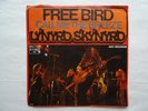 Lynyrd Skynyrd: Free Bird, 7
