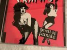 The Cramps Smell Of Female