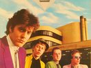 The Jags Evening Standards NEAR MINT Island Records Vinyl LP