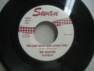 Beatles Sie Liebt Dich (She Loves You) / I'll Get You *Swan S-4182 45 rpm EX