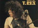 Best Of T-Rex / Tyrannosaurus Rex vinyl LP album record French 2486262