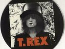 T-Rex / Tyrannosaurus Rex picture disc LP vinyl album record The Slider UK