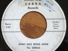 THE ZEBRAS What Was Being Done 45 on Zebra Texas twee jangle garage HEAR