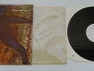GANGWAY Sitting In The Park very rare UK white label vinyl LP test pressing