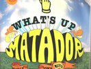 What's Up Matador 2 LP Pavement Yo La Tengo Guided By Voices Cat Power