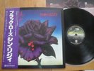 THIN LIZZY - BLACK ROSE - TOP 1st JAPAN 12
