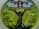 RARE LOVERS ROCK REGGAE 45 Elizabeth Archer & The Equators Feel Like Making Love