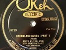 TROY FLOYD AND HIS SHADOWLAND ORCH. OKEH Dreamland Blues BEAUTIFUL COPY