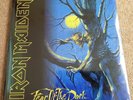 Iron Maiden - Fear Of The Dark - Remastered 180g 2LP set Vinyl Record Album New