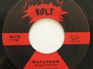 DOROTHY WILLIAMS rare Watchdog mod r&b northern soul 45 HEAR