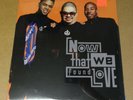 NEW Heavy D & The Boyz - Now That We Found Love 12