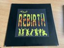 Various ?– Rebirth 2 x 12