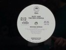 SUZY AND THE RED STRIPES Linda PAUL McCARTNEY Seaside Woman '77 PROMO 12