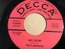 The Flamingos Hey Now / Jerri-Lee 45 DJ Promo Doo Wop Decca 9-30948