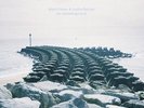 FISHER  MARK & BARTON  JUSTIN - on vanishing land