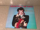 ADAM AND THE ANTS 