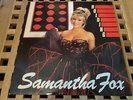 SAMANTHA FOX HOLDING 12