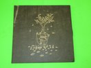 BLACK MOTH SUPER RAINBOW - THE AUTUMN KALEIDOSCOPE GOT CHANGED 2 LP