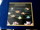 STEVIE WONDER  THE ORIGINAL MUSIQUARIUM 1 2 LP SET  NEAR MINT  TAMLA   SOUL  LP