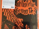 Christopher ?– What'cha Gonna Do? / Lion Productions LP ?– LION LP-101D NEU