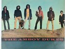 The Amboy Dukes - Migration - 1969 S-6118 - Ted Nugent - Mainstream Records