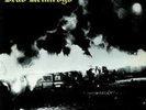 LP Dead Kennedys Fresh Fruit for Rotting Vegetables vinile