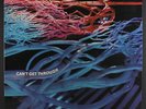 HAIRY CHAPTER: Can't Get Through LP (Germany, 1972 reissue) rare Rock & Pop