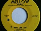 Rare 1966 Northern Soul R&B MELLOW 1002 45 Marvin L Sims WHAT CAN I DO Chicago