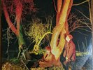 Echo And The Bunnymen - Crocodiles (Vinyl LP)
